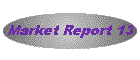 Market Report 13